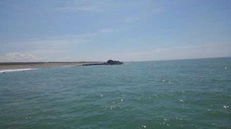 昨日は良かったらしいけど、今日は、、、、