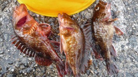 人工島は人がいっぱい