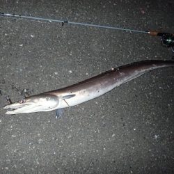 ミッドワインドでまさかの魚が!