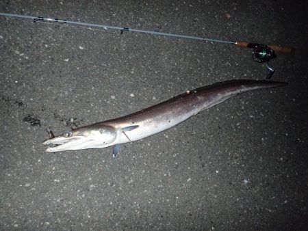 ミッドワインドでまさかの魚が！