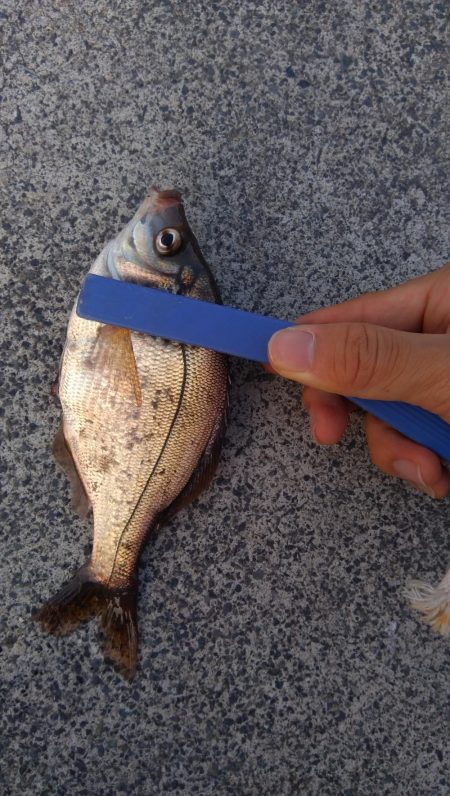小物釣り