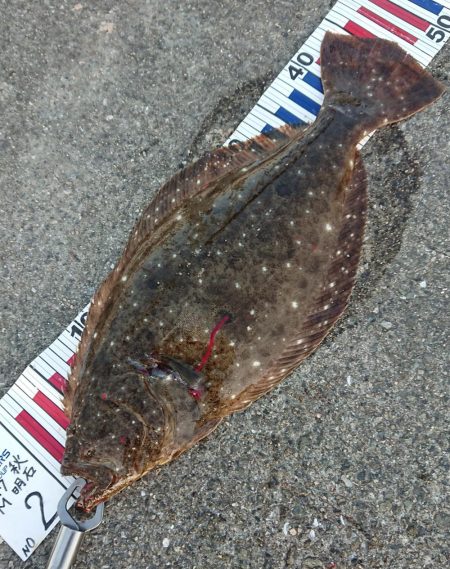 うれしい珍ゲスト！？