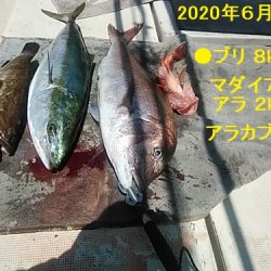 大物釣果速報!●光義丸:平戸市早福港