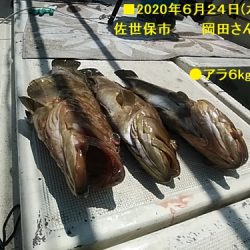 大物釣果速報！●光義丸：平戸市早福港