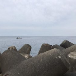 早朝短時間釣行