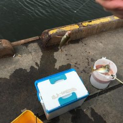 ファミリーフィッシング