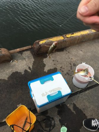 ファミリーフィッシング