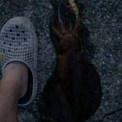 暇つぶしエギング