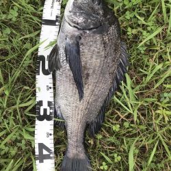 イチノ兄弟、釣果！