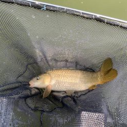 加西釣り池センター