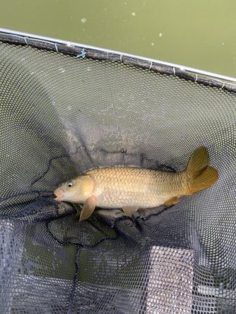 加西釣り池センター
