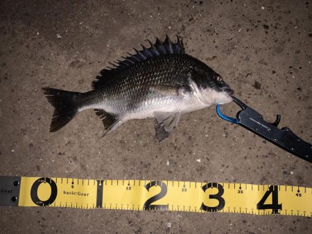 一瞬の時合で…