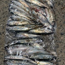 サバリング・ガシリング