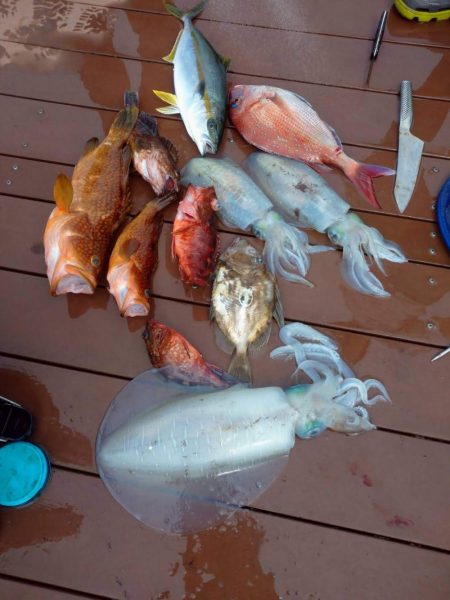 ジギング～SLJ～エギング