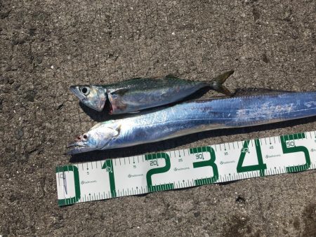 4目達成!今年初ドラゴン!