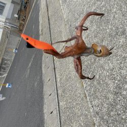 タコ！！！〜今晩はたこ焼き〜