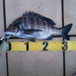 久々の複数枚 ~さざなみ公園~