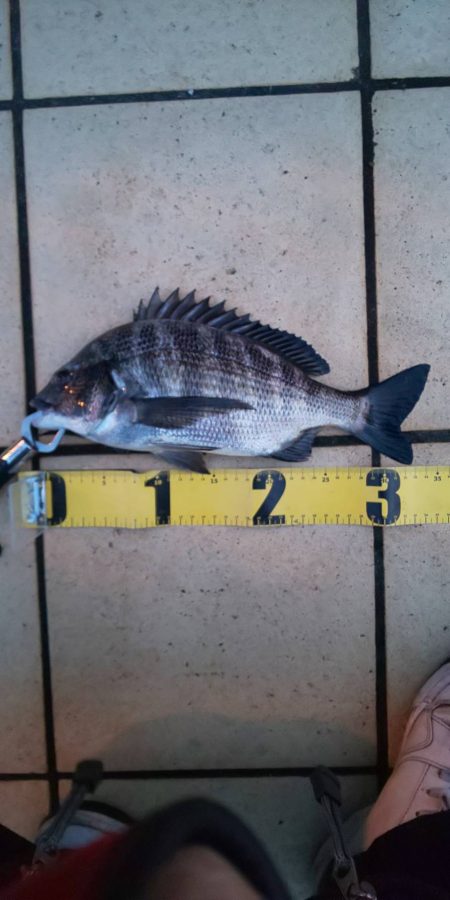 久々の複数枚 ~さざなみ公園~