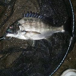 釣れれば何より　潮見さざなみ公園・汐見運河