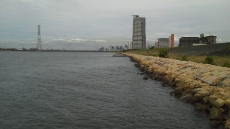 なんとか釣れた