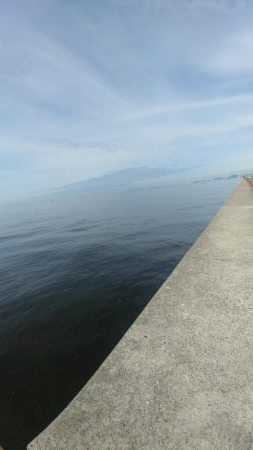 ショアｼﾞｷ撃沈　タコ少々