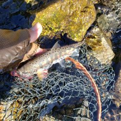 ちびっこ入れ食い！！