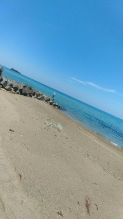 真っ昼間からキス釣り