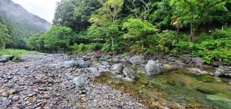 今年はよく追う