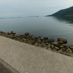 15時くらいからタコゲーム