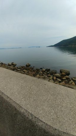 15時くらいからタコゲーム