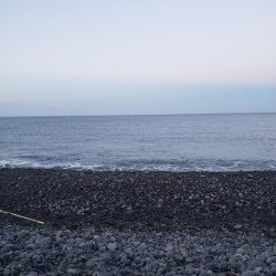 朝マズメとは？