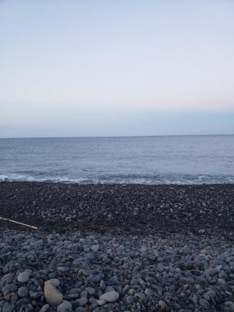 朝マズメとは？