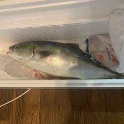 雨の中の市役所裏で