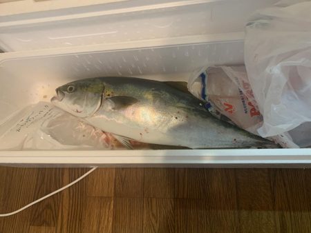 雨の中の市役所裏で