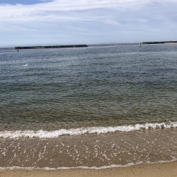 ピンギスチョイ投げゲーム