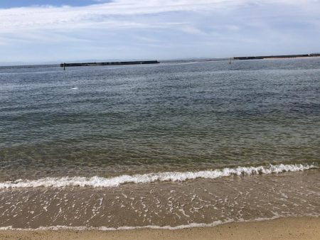 ピンギスチョイ投げゲーム