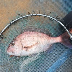 宍喰沖でタイラバ