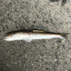 久しぶりに。。