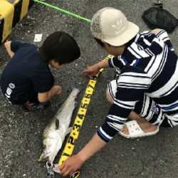 80センチ！！！あと5センチ！！！