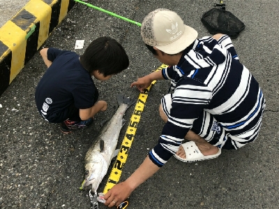 80センチ！！！あと5センチ！！！