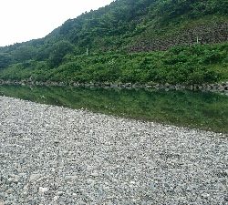 宮川でウグイング