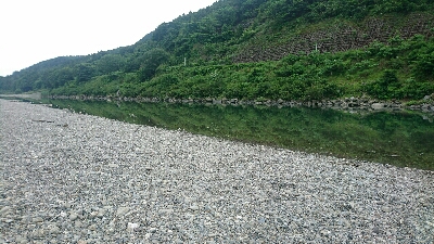 宮川でウグイング