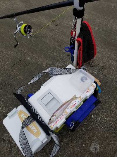 今日は、遅めの出発です。