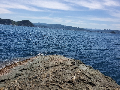 青物パーティー