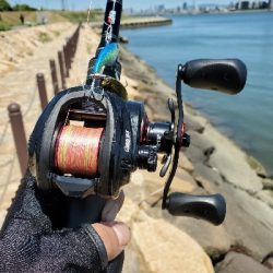 またしてもデイシーバス！