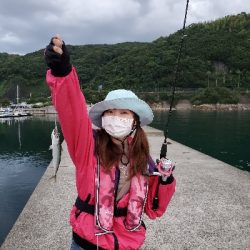 圧倒的サバ大群大挙