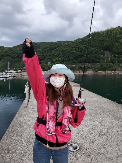 圧倒的サバ大群大挙