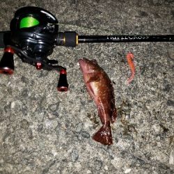 底物から上物へ‼️