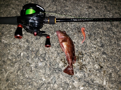 底物から上物へ‼️