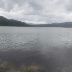 今日もダメでした